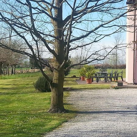 Casarosa B&B ピアッツォーラ・スル・ブレンタ エクステリア 写真